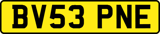 BV53PNE