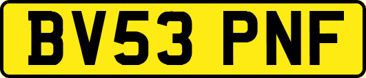 BV53PNF