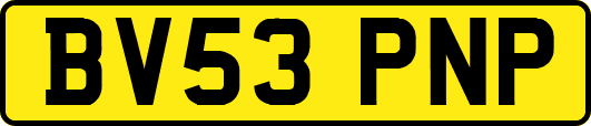 BV53PNP