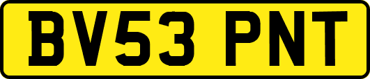 BV53PNT