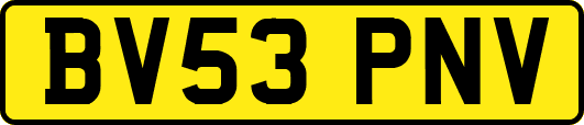 BV53PNV