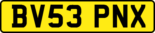 BV53PNX