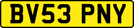 BV53PNY