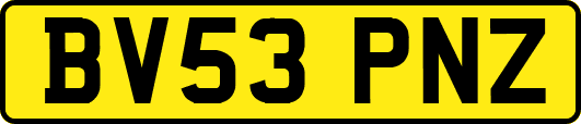 BV53PNZ