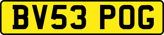 BV53POG