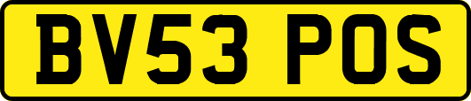 BV53POS