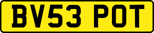 BV53POT
