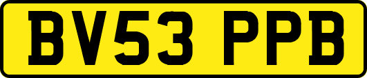 BV53PPB