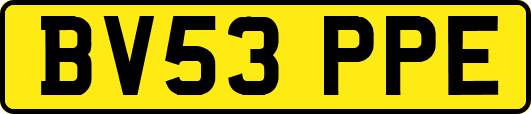 BV53PPE