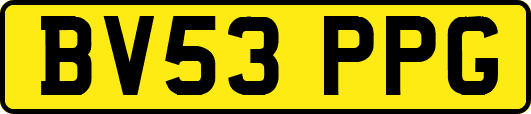 BV53PPG