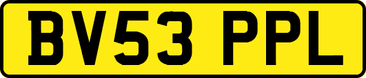 BV53PPL