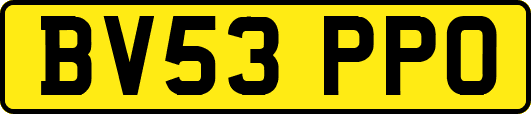 BV53PPO
