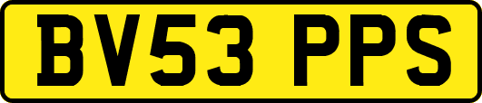 BV53PPS