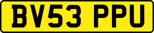 BV53PPU