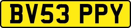 BV53PPY