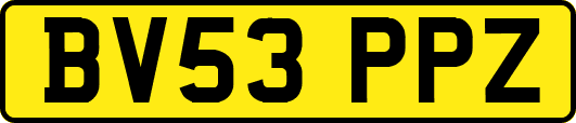 BV53PPZ