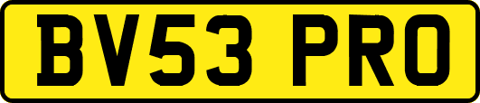 BV53PRO