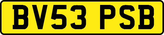 BV53PSB