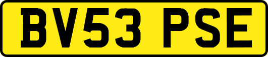 BV53PSE