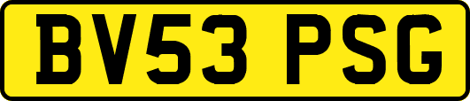 BV53PSG