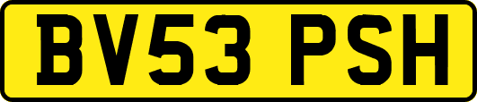 BV53PSH