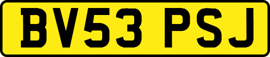 BV53PSJ