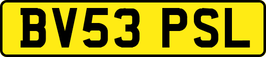 BV53PSL