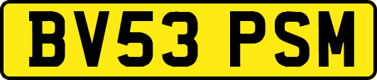 BV53PSM
