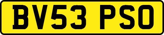 BV53PSO