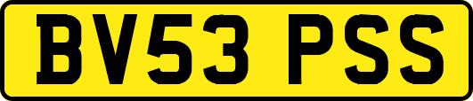 BV53PSS