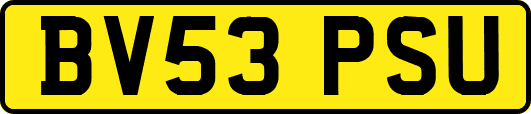BV53PSU