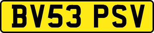 BV53PSV