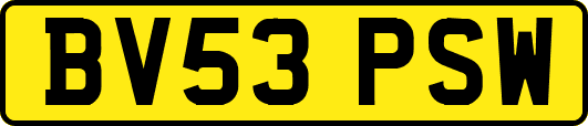 BV53PSW