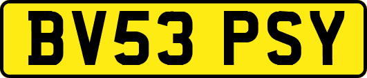 BV53PSY