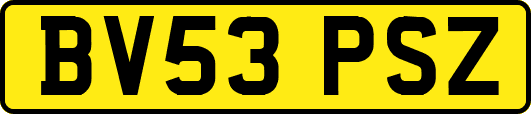 BV53PSZ