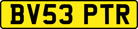 BV53PTR
