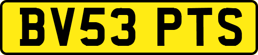 BV53PTS
