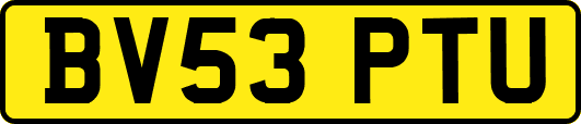 BV53PTU