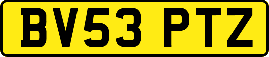 BV53PTZ