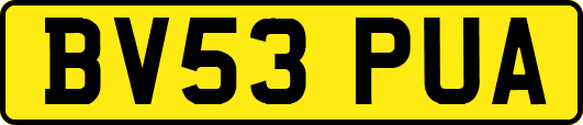 BV53PUA