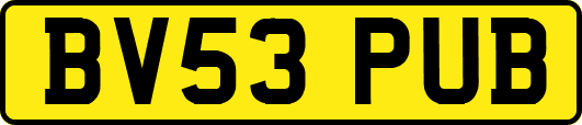 BV53PUB