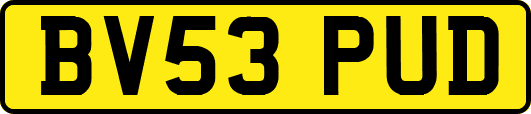 BV53PUD