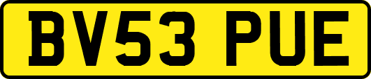 BV53PUE