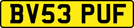 BV53PUF