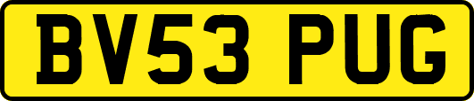 BV53PUG