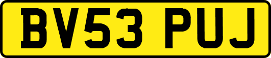 BV53PUJ