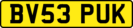 BV53PUK