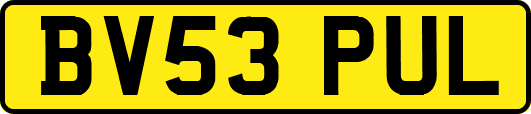 BV53PUL
