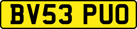 BV53PUO