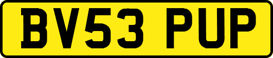 BV53PUP